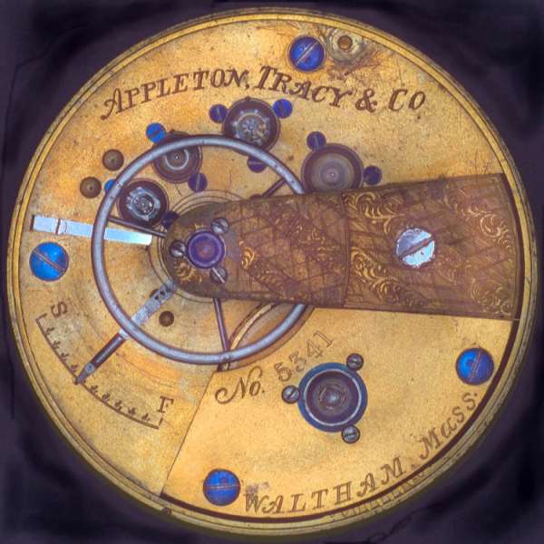 Appleton Tracy & Co. movement — serial No. 5541, gold plate, blue jewels, decorative engraving