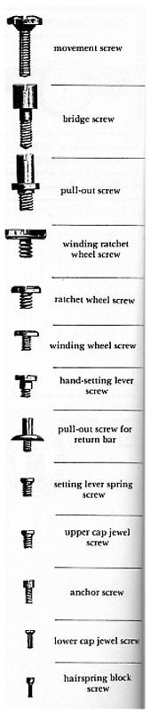 Illustrated chart of pocket watch movement screws — movement screw, bridge screw, pull-out screw, ratchet wheel screw, winding wheel screw, hand-setting lever screw, cap jewel screws, anchor screw, hairspring block screw
