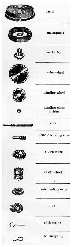 Illustrated chart of mainspring and winding parts — barrel, mainspring, barrel arbor, ratchet wheel, winding wheel, winding wheel bushing, stem, female winding stem, crown wheel, castle wheel, intermediate wheel, click, click spring, return spring